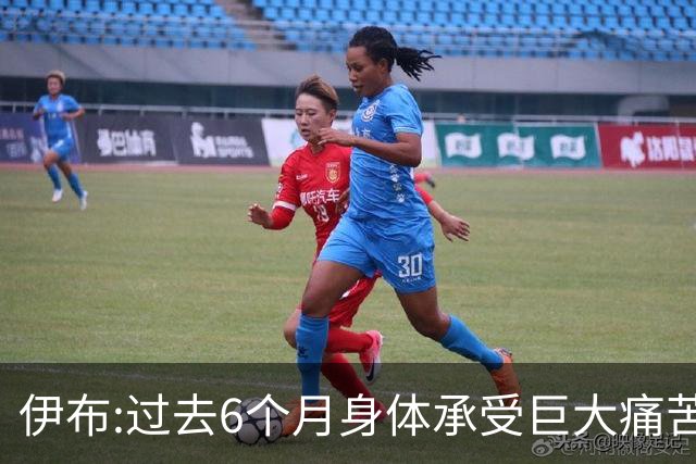 伊布:过去6个月身体承受巨大痛苦 只为帮球队夺冠